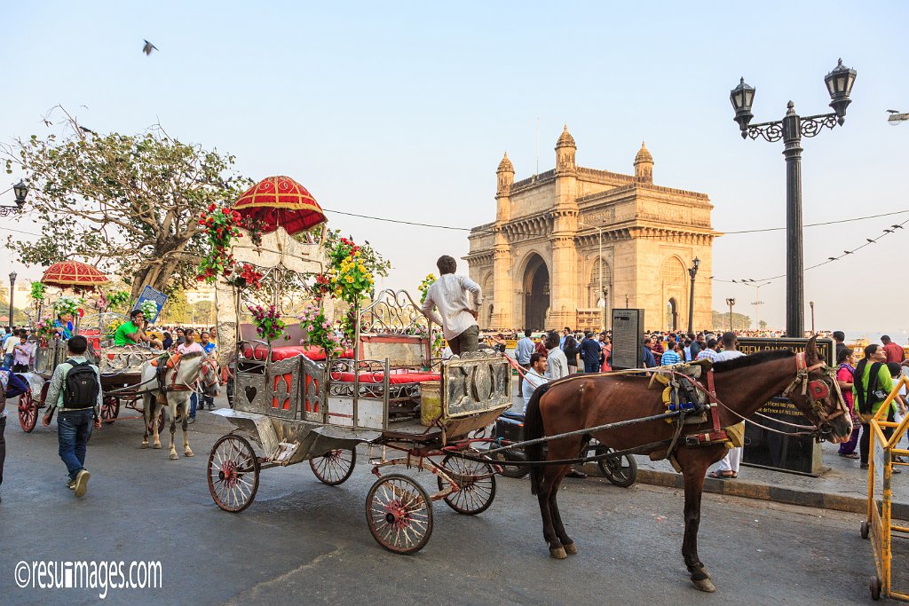 RJ_1712.jpg - Mumbai, Maharashtra
