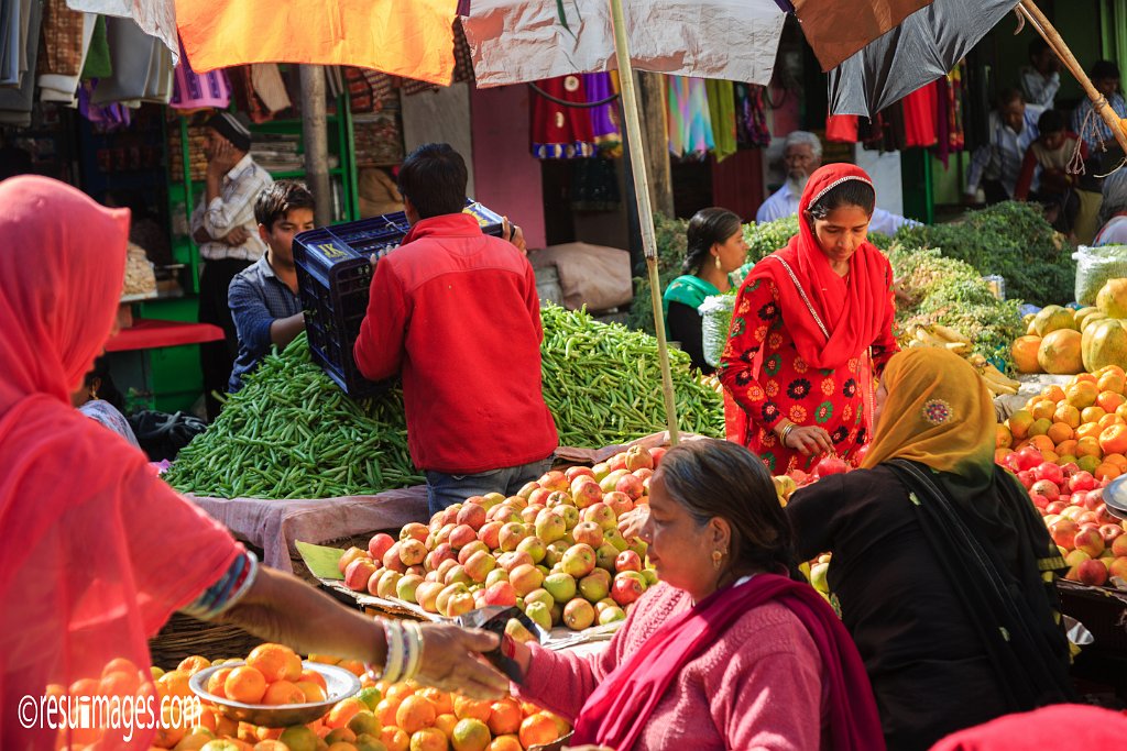 RJ_1065.jpg - Udaipur, Rajasthan