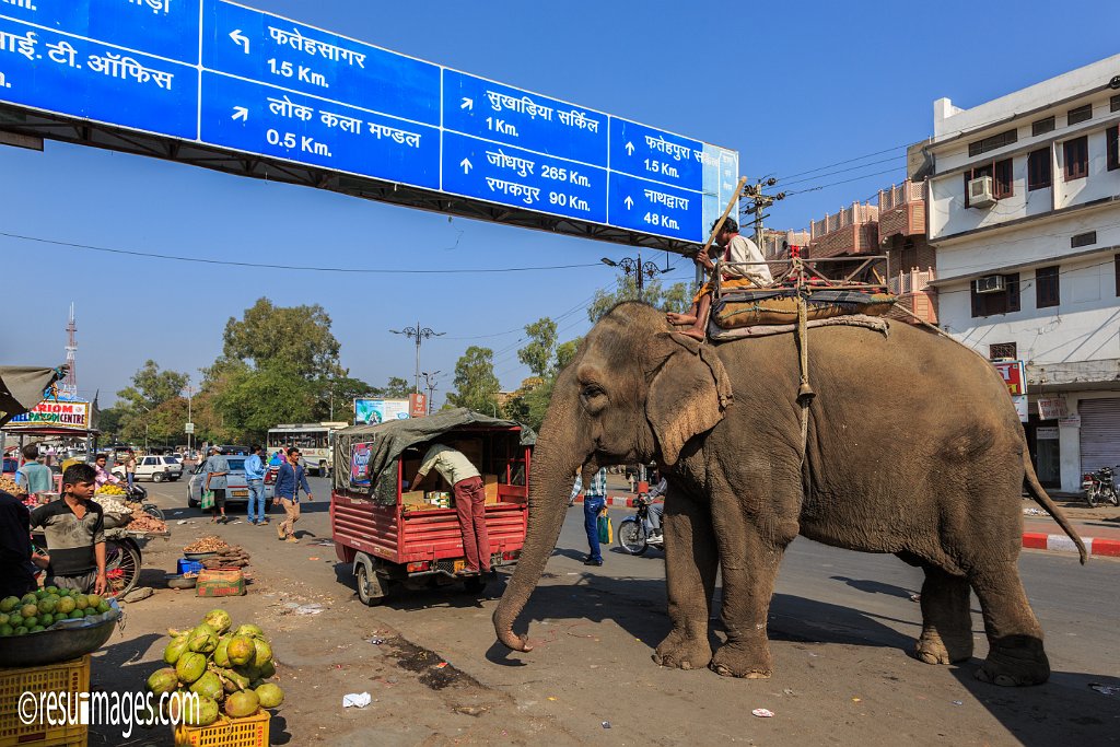 RJ_1075.jpg - Udaipur, Rajasthan