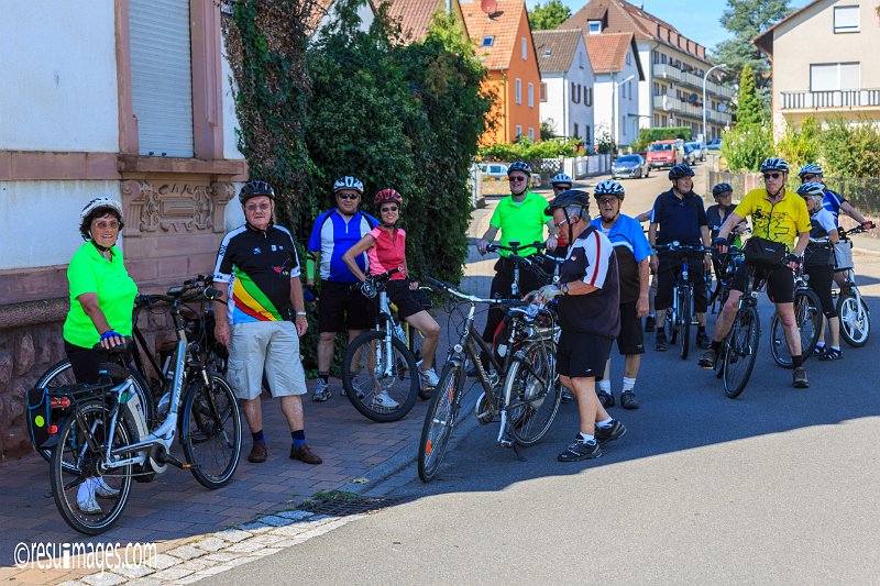 swvb_0815_161.jpg - Deutsche Weinstrasse