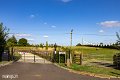 Dorset (20)