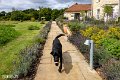 Dorset (57)