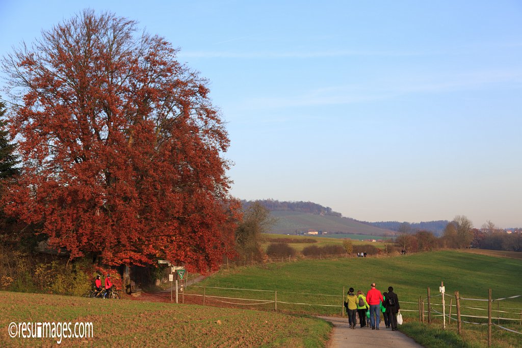 swvb_025.jpg - Ausflug Schwarzwaldverein