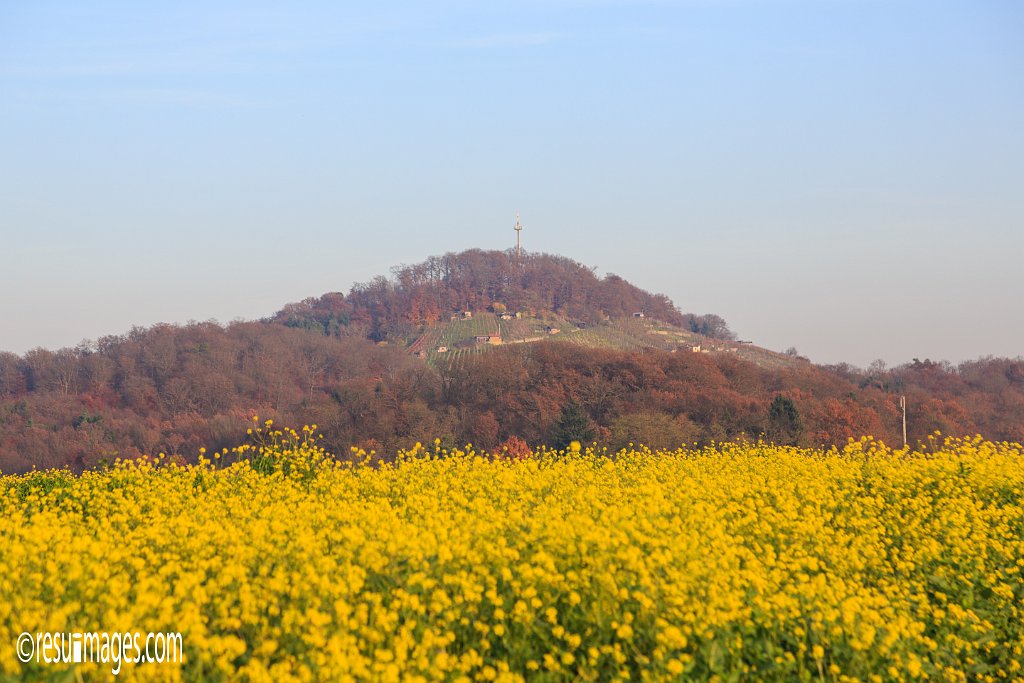 swvb_029.jpg - Ausflug Schwarzwaldverein