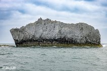 Isle of Wight (28)