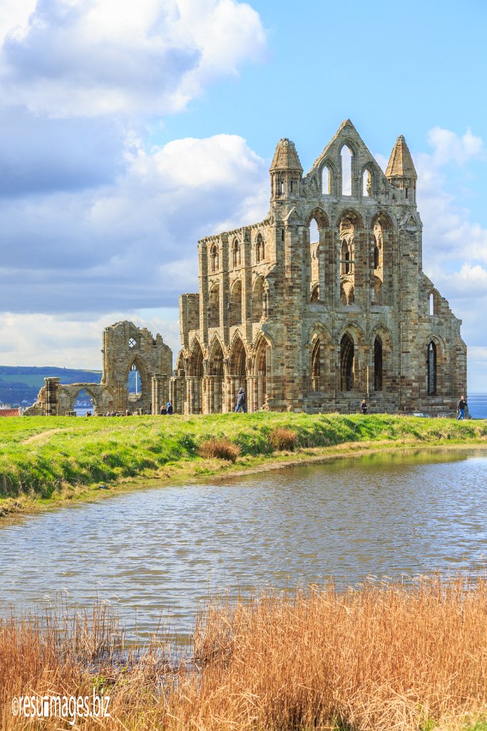 YS_216.jpg - Yorkshire