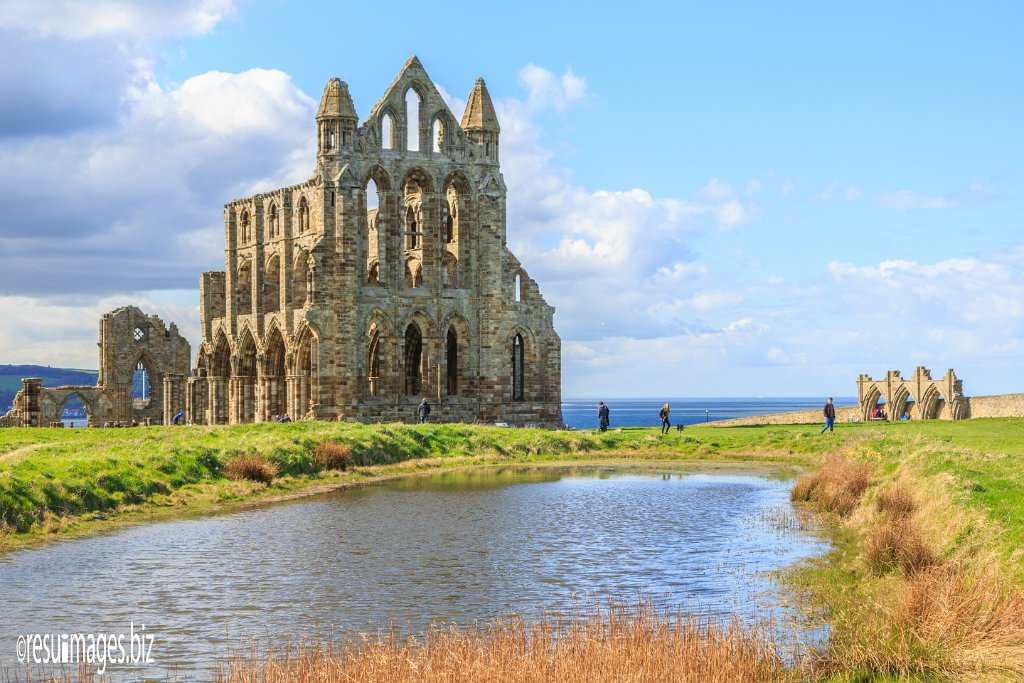 YS_217.jpg - Yorkshire