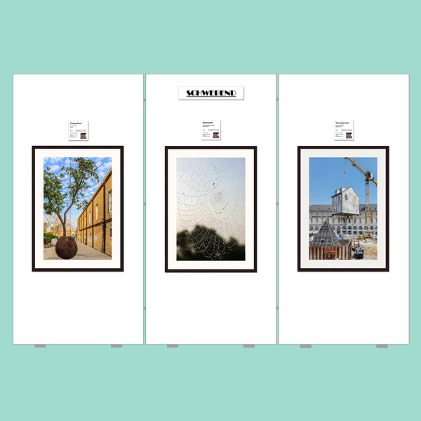 Exhibitions