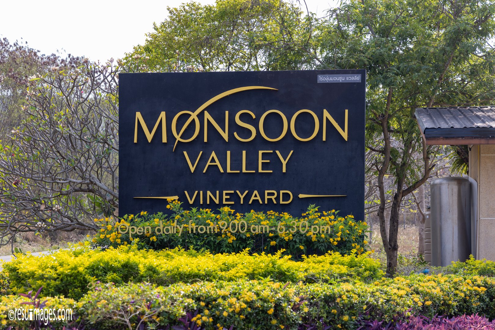 Monsoon Valley
