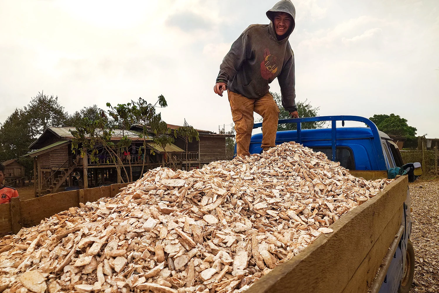 Manioc Worker, Pakxong, Laos