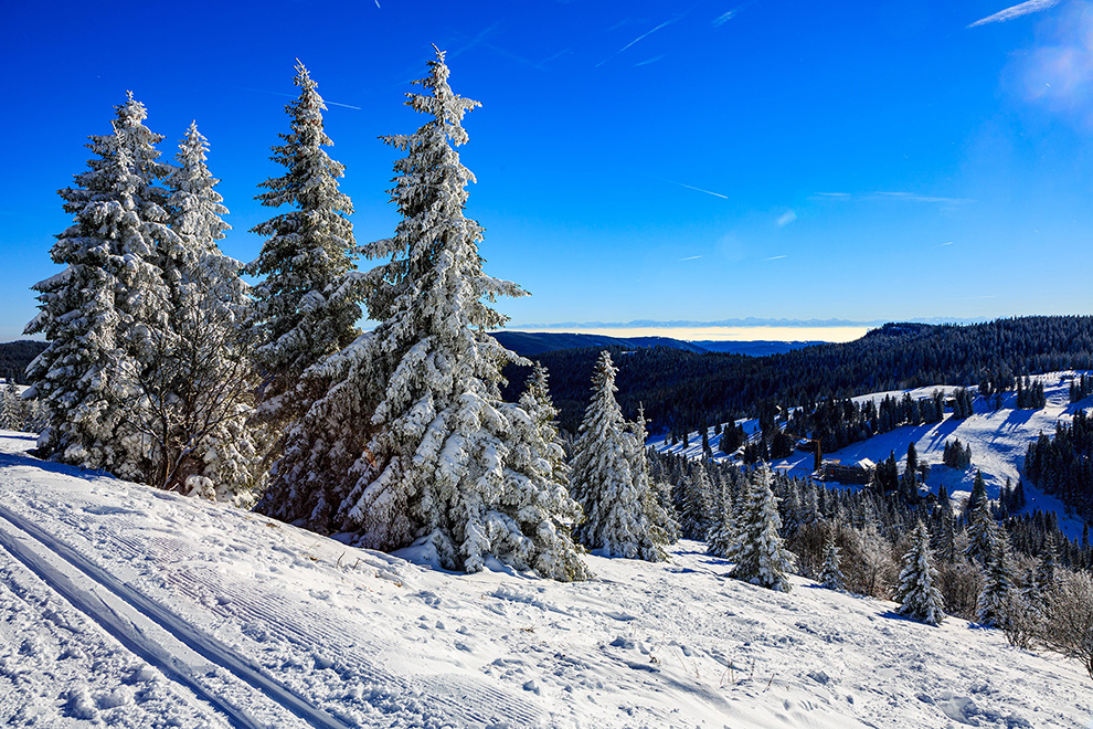 View from the Feldberg in Winter