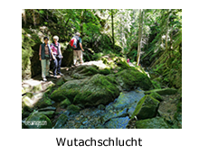 Wutachschlucht