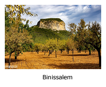 Binissalem