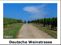 Trekking Deutsche Weinstrasse